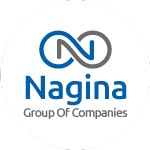 nagina removebg preview